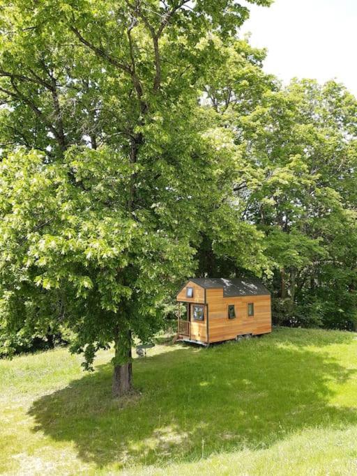 Micro Maison Bois / Tiny House Au Calme クレ エクステリア 写真